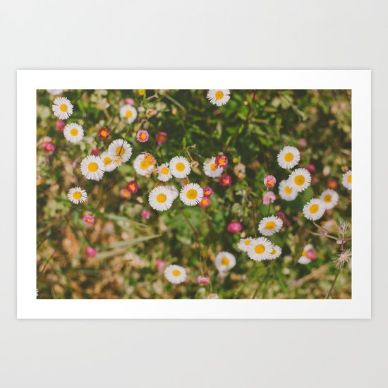 Wild Flowers Art Print