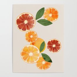 sliced oranges spring watercolor Poster