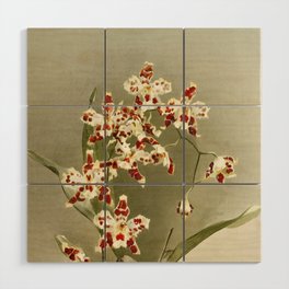 Reichenbachia Orchids Wood Wall Art