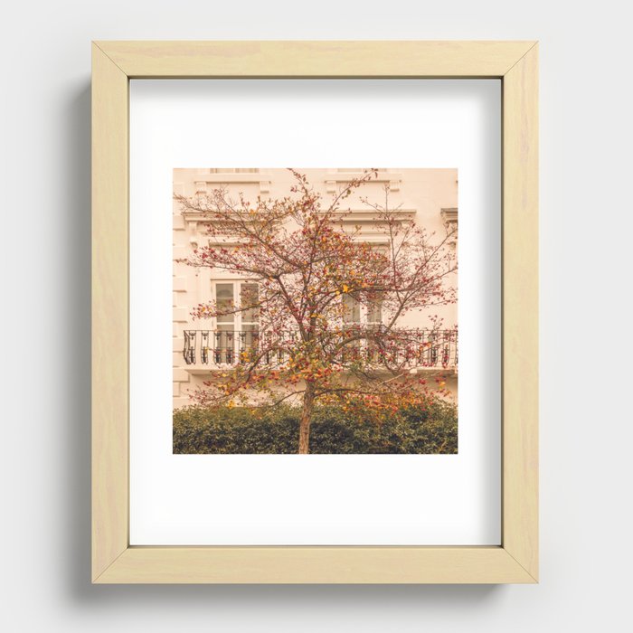 London Autumn tree | Street photography  Recessed Framed Print