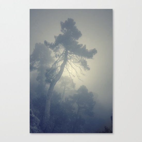 "Telling stories" Canvas Print
