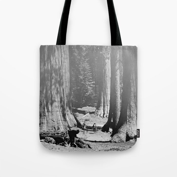 Vintage Walking amid the California Redwood Giants on a sunny forest afternoon nature black and white photograph - photography - photographs Tote Bag