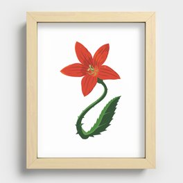 Red Flower Recessed Framed Print