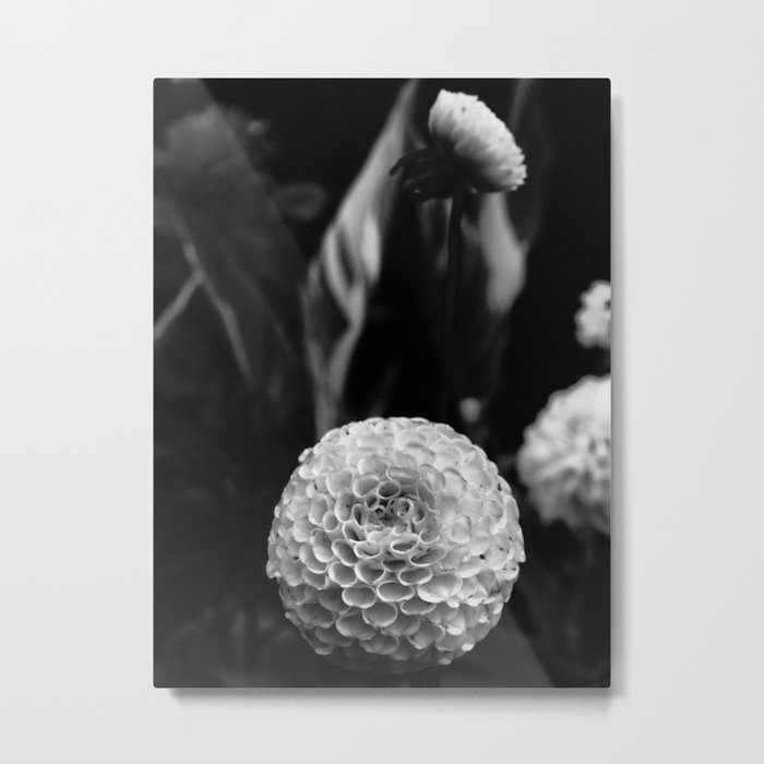 Serene White Flower Metal Print