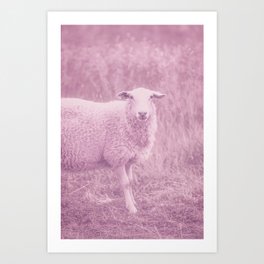 Pink Sheep Cute Animal Art Art Print