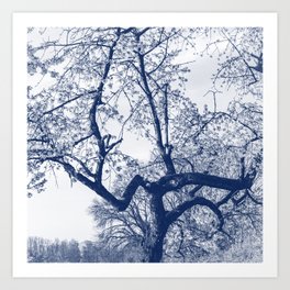 Cherry Blossom Tree, Delfts Blue Art Print