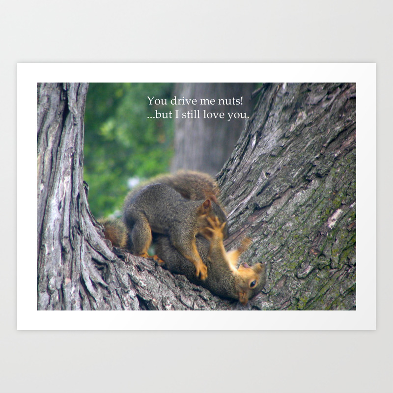Squirrel You Drive Me Nuts But I Still Love You Art Print By Waterspotdesigns Society6