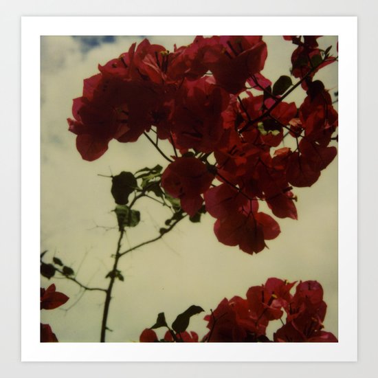 Floral Formula Art Print