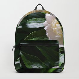 Flower Photography by Valerie Blanchett Backpack | Beautiful, Publicdomain, Plant, Wonderful, Flowers, Pretty, Colorful, Decoration, Amazing, Photo 