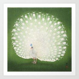 Ohara Koson - Peacock Art Print