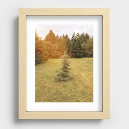 King of The Forest Art Print Recessed Framed Print