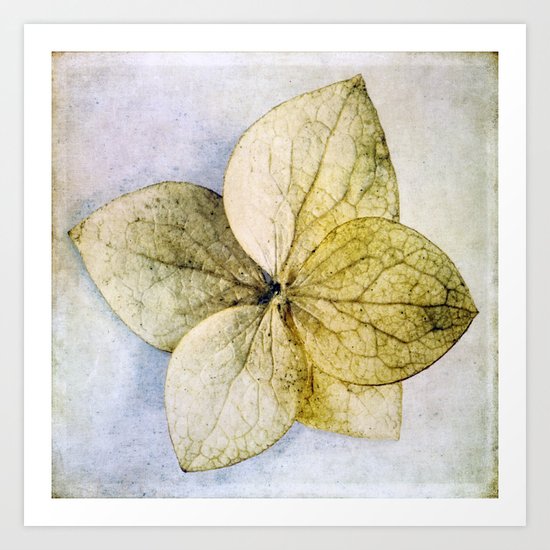 flower Art Print