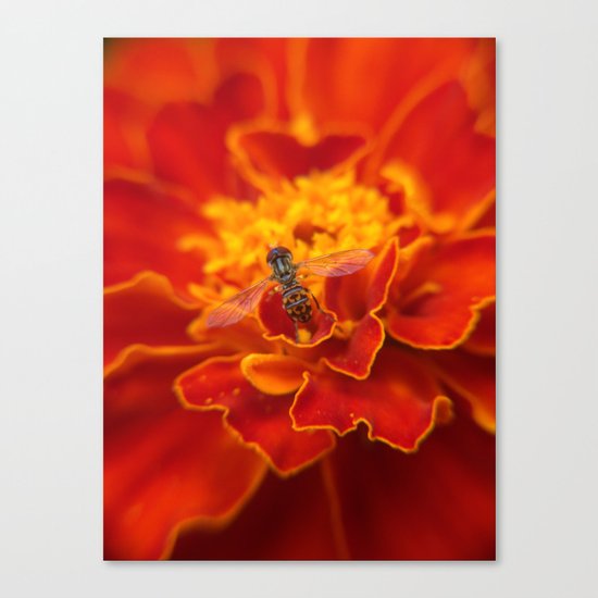 Flowers Canvas Print