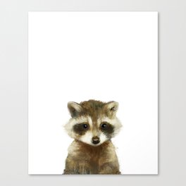 Little Raccoon Canvas Print