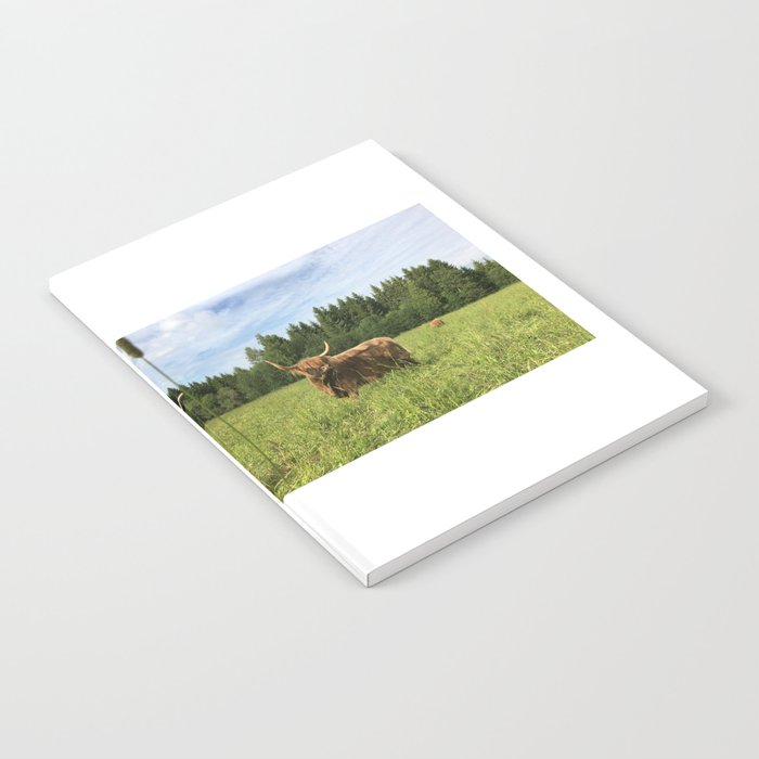 Fluffy Highland Cattle Cow 1181 Notebook