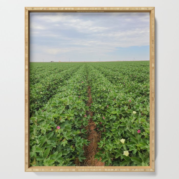 Cotton field  Serving Tray