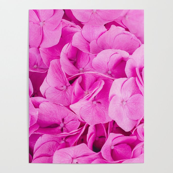 Hot Pink Flower Petals Poster