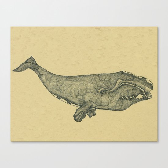 Northern Right Whale Canvas Print