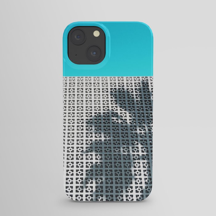 Parker Palm Springs with Palm Tree Shadow iPhone Case