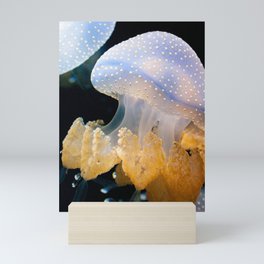 Underwater Macrophotography of Jellyfish Mini Art Print