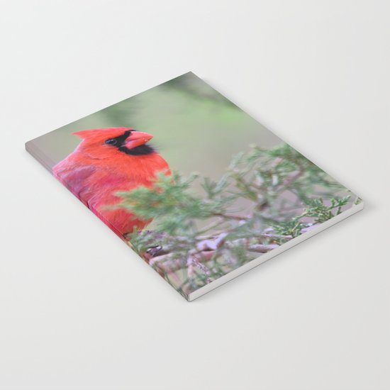 Spring Cardinal Notebook