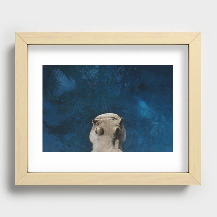 Hippo on the Tropic of Capricorn  Recessed Framed Print