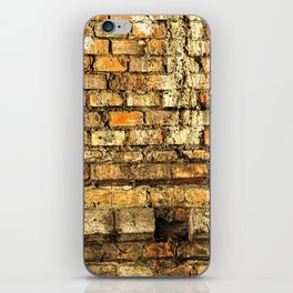 Old Grungy Brick Wall Detail Texture iPhone Skin