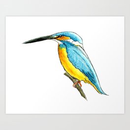 River Kingfisher Art Print