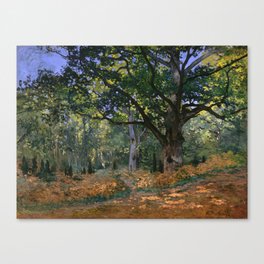 Claude Monet - The Bodmer Oak, Fontainebleau Forest Canvas Print