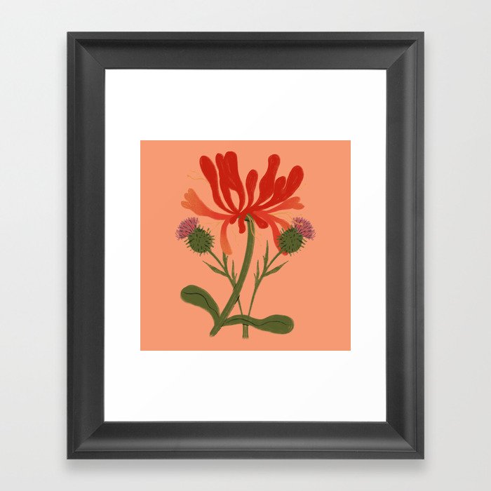 Thistle & Honeysuckle Flowers Framed Art Print