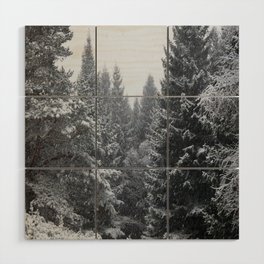 Snow Bound Trees in the Scottish Highlands Wood Wall Art