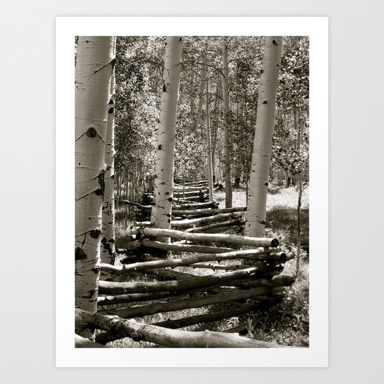 Fencing the Trees B/W Art Print