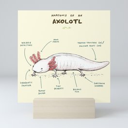 Anatomy of an Axolotl Mini Art Print