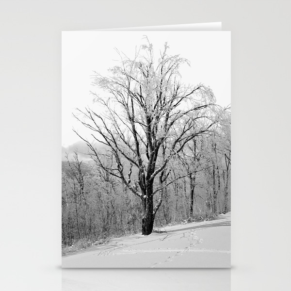 Maple Tree In Winter Stationery Cards By Tamsinlucie Society6