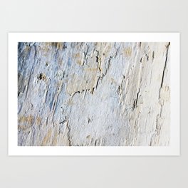 Wood Texture Art Print