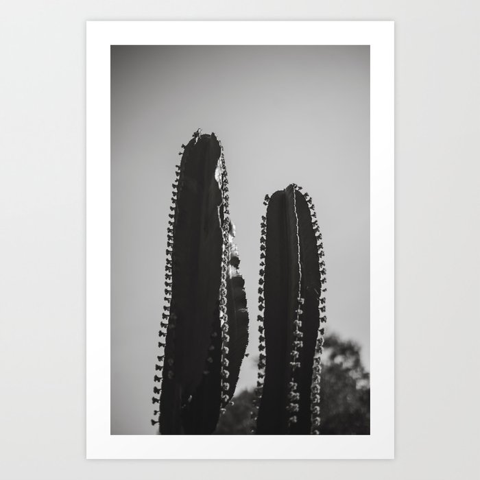 Cactus Photography - Black and White #3 Art Print