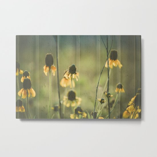 Yellow Coneflowers Summer Botanical Metal Print