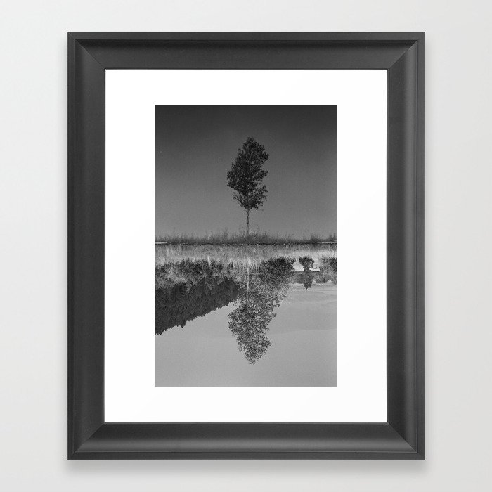 Tree Framed Art Print
