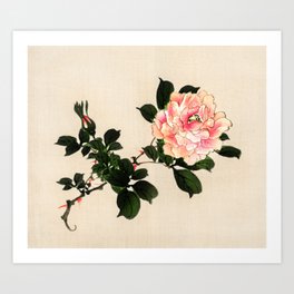 Pink Rose Traditional Japanese Flora Art Print