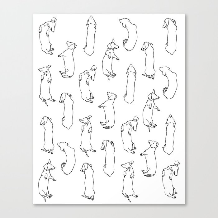 Dachshund Sleep Study Pattern. Sketches of my pet dachshund's sleeping positions. Canvas Print