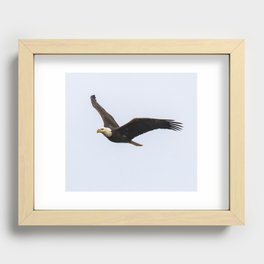 American Eagle In Flight Recessed Framed Print