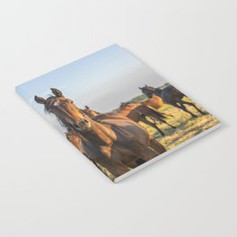 Wild horses in the sun | Horse photography Netherlands | Nature travel color animal photo print Notebook