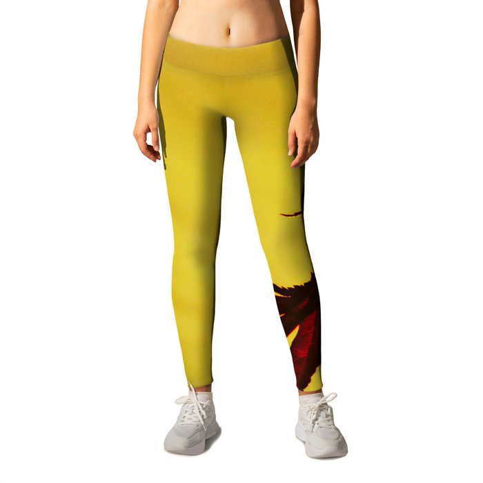 Acer Plant with colourful backdrop Leggings