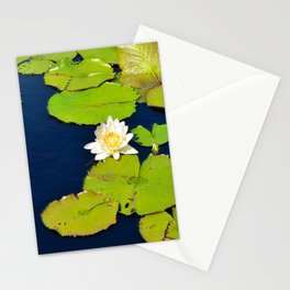 Dark Blue Pond by Teresa Thompson Stationery Cards