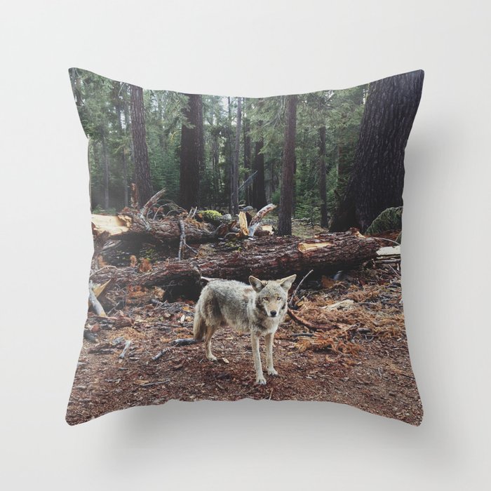 Injured Coyote Throw Pillow