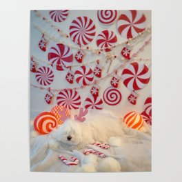Holiday Peppermint Puppy Poster