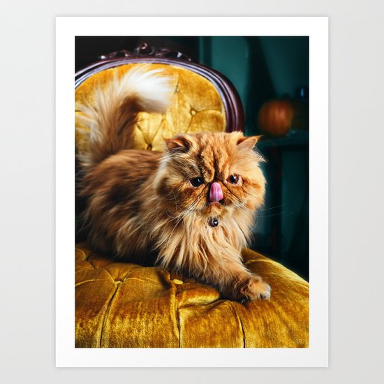 Toofi Art Print
