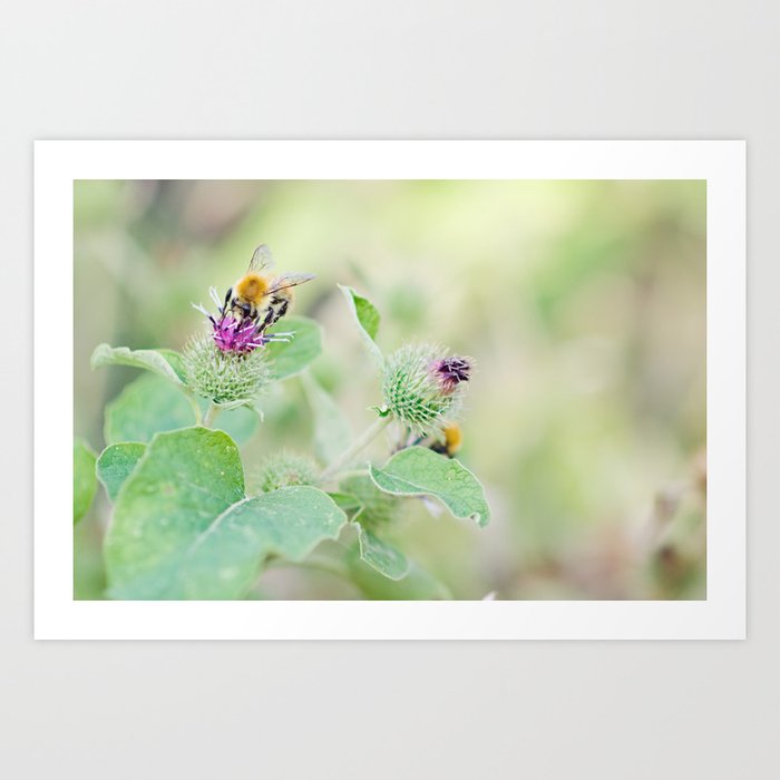 Bees in Spring Art Print