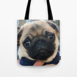 Cutest Pug Ever Tote Bag