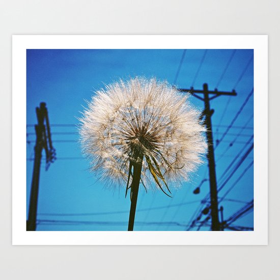 Time to fly Art Print